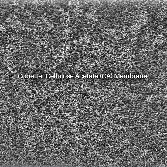 Deschem 110mm,0.22 Micron,Cellulose Acetate Membrane Filter,OD=11CM,50Pcs/Lot 